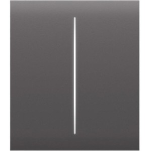 Розумний вимикач Ajax CenterButton 2-gang/grey