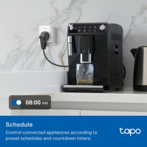 Умная розетка TP-Link Tapo P100M