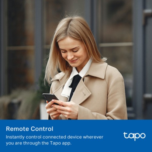 Умная розетка TP-Link Tapo P100M