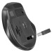 Мышка Defender Prime MB-053 Silent Wireless Black (52053)