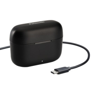 Навушники Panasonic RZ-B110W Black (RZ-B110WDG-K)
