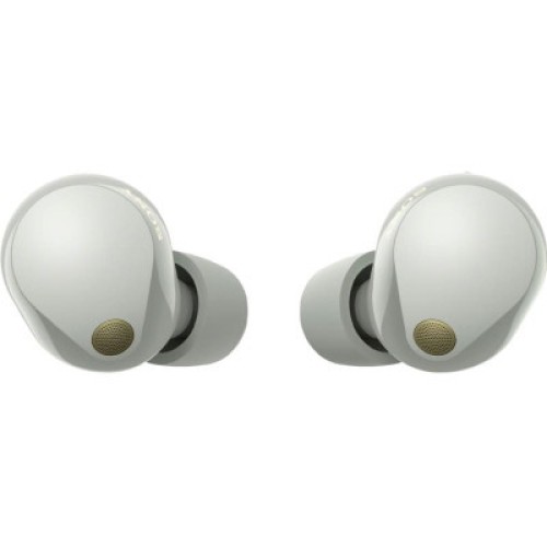 Наушники Sony WF-1000XM5 Platinum Silver (WF1000XM5S.CE7)