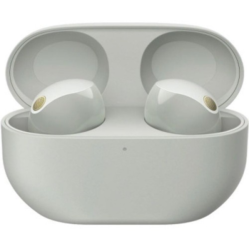 Наушники Sony WF-1000XM5 Platinum Silver (WF1000XM5S.CE7)