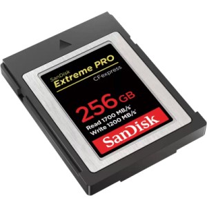 Карта памяти SanDisk 256GB CFexpress Extreme Pro (SDCFE-256G-GN4NN)