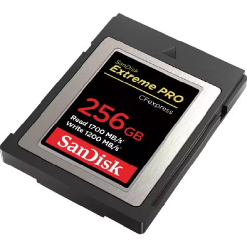 Карта памяти SanDisk 256GB CFexpress Extreme Pro (SDCFE-256G-GN4NN)