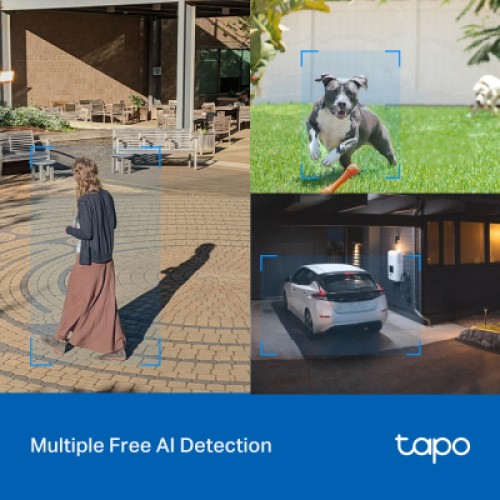 Камера видеонаблюдения TP-Link TAPO-C520WS