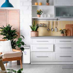 Осушувач повітря MYCOND Roomer Smart 25 (ROOMER_SMART_25)