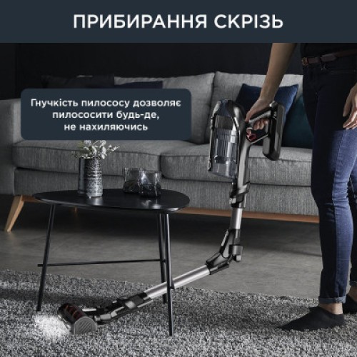 Пылесос Rowenta RH9958WA