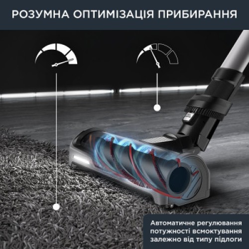 Пылесос Rowenta RH9958WA