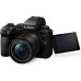 Цифровой фотоаппарат Panasonic DC-G9M2 Kit 12-60 mm f3.5-5.6 (DC-G9M2MEE)