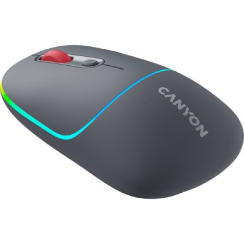 Мышка Canyon MW-22 Dual Band RGB Wireless Dark Grey (CNS-CMSW22DG)
