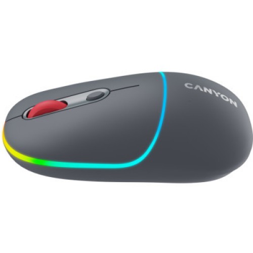 Мышка Canyon MW-22 Dual Band RGB Wireless Dark Grey (CNS-CMSW22DG)