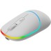 Мышка Canyon MW-22 Dual Band RGB Wireless Snow White (CNS-CMSW22SW)