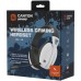 Наушники Canyon GH-13 Ego Wireless Gaming 7.1 White (CND-SGHS13W)