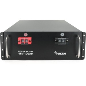 Батарея LiFePo4 Merlion LFP48-100US