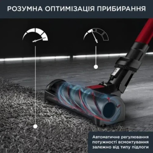 Пылесос Rowenta RH98A9WO