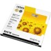 Весы напольные Rotex RSB17-N