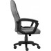 Кресло игровое GT Racer X-1414 Gray/Black Suede (X-1414 Fabric Gray/Black Suede)