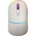 Мышка Canyon MW-22 Dual Band RGB Wireless Rice (CNS-CMSW22RC)