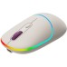 Мышка Canyon MW-22 Dual Band RGB Wireless Rice (CNS-CMSW22RC)