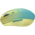 Мышка Canyon MW-44 LED Rechargeable Wireless/Bluetooth Yellow Blue (CNS-CMSW44UA)