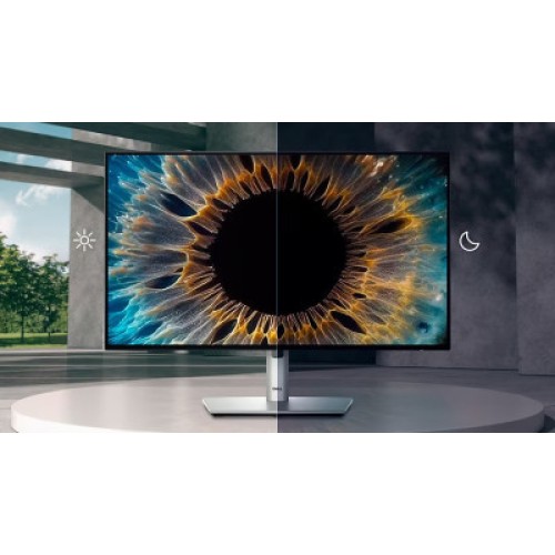 Монитор Dell U2424HE (210-BKJF)