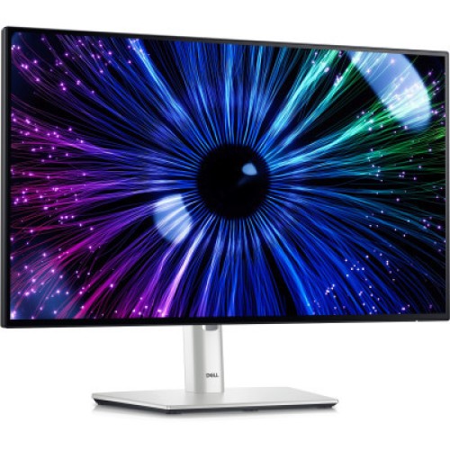 Монитор Dell U2424HE (210-BKJF)