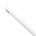 Лампочка Eurolamp T8 скло 18W 6500K (LED-T8-18W/6500(OS))