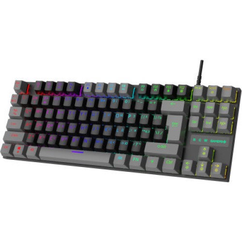 Клавиатура GamePro MK100R Red Switch LED USB Black/Grey (MK100R)