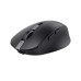Мышка Trust Ozza compact Bluetooth/Wireless/USB-A Black (24819)