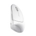 Мышка Trust Verto Ergonomic Wireless White (25132)