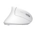 Мышка Trust Verto Ergonomic Wireless White (25132)