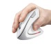 Мышка Trust Verto Ergonomic Wireless White (25132)
