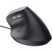 Мышка Trust Bayo II Ergonomic USB Black (25144)