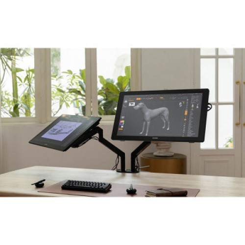 Планшет-монитор Huion Kamvas RDS-220 (RDS-220)