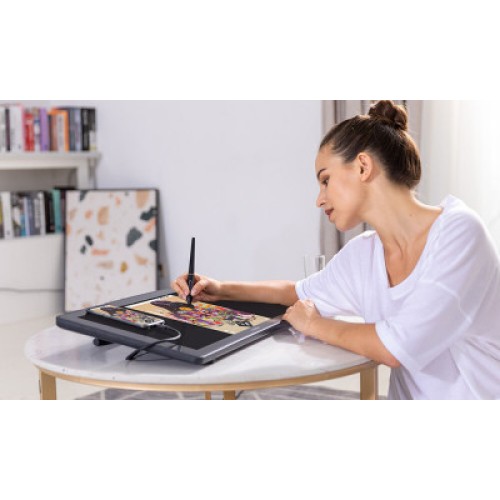 Планшет-монитор Huion Kamvas RDS-220 (RDS-220)