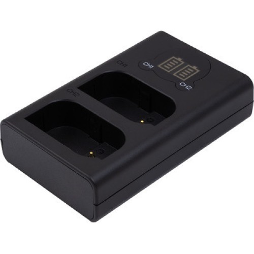 Зарядное устройство для фото PowerPlant Panasonic DL-BLK22 для двух аккумуляторов (CH980376)