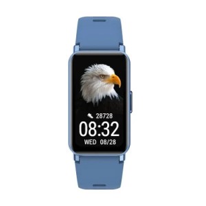 Смарт-часы Maxcom Fit FW53 Nitro Blue