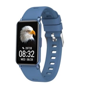 Смарт-часы Maxcom Fit FW53 Nitro Blue