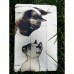Чехол для планшета BeCover Smart Case Samsung Tab A9 SM-X115 8.7" Cat (711267)