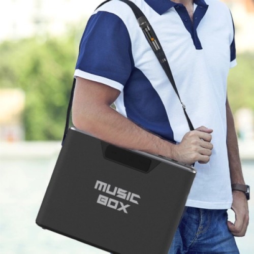 Акустическая система HiFuture MusicBox Black (musicbox.black)