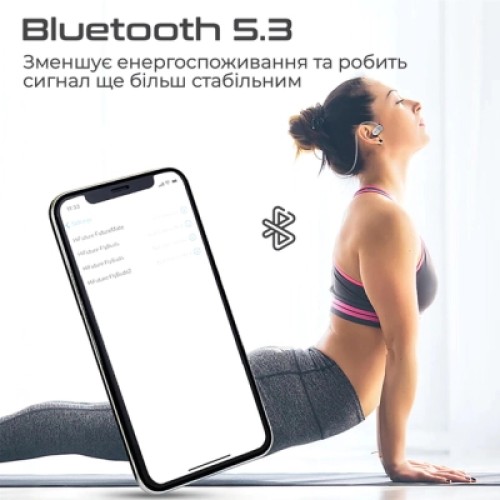 Наушники HiFuture FutureMate Grey (futuremate.greywhite)