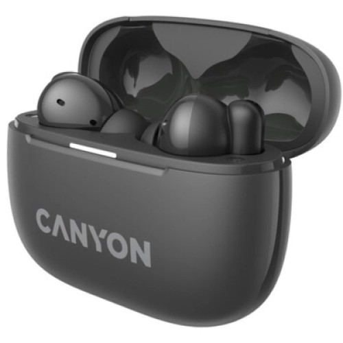 Наушники Canyon TWS-10 OnGo ANC ENC Graphite (CNS-TWS10B)