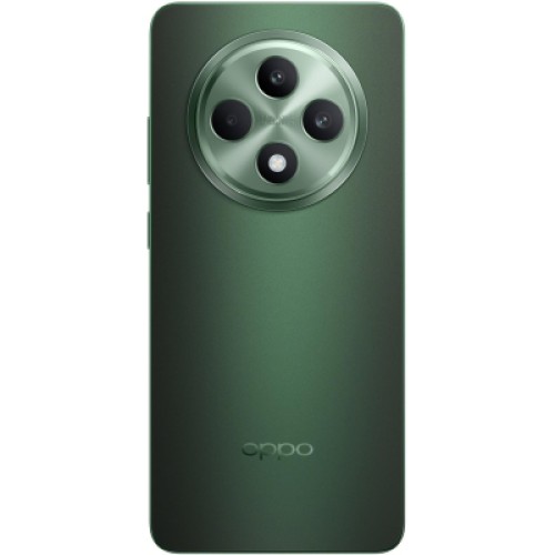 Мобильный телефон Oppo Reno12 FS 5G 12/512GB Black Green (OFCPH2637_BLACK)