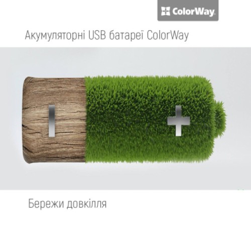 Аккумулятор ColorWay AA USB-С 2220 mAh 1.5V (2шт) (Li-Polymer) (CW-UBAA-10)