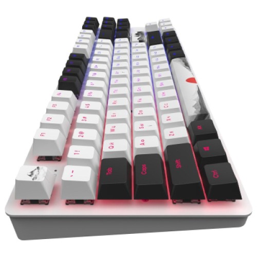 Клавиатура Dark Project One 87 Fuji ABS RGB Mech G3ms Sapphire USB Black/White (DPO87_GSH_Fuji_ANSI_UA)