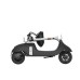 Електросамокат OKAI Ceetle PRO EA10C 10 900 Вт 10.4 Ah Black (EA10C-B)