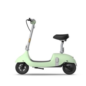 Електросамокат OKAI Ceetle PRO EA10C 10" 900 Вт 10.4 Ah Mint Green (EA10C-MG)