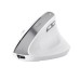 Мышка Trust Bayo II Ergonomic Wireless White (25398)
