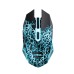 Мышка Trust Basics Wireless Black (24750)